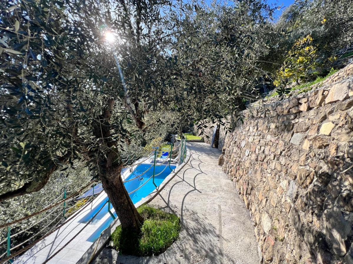 Villa Di Campagna Con Vista Mare 5 Camere Da Letto Pampara Exteriér fotografie